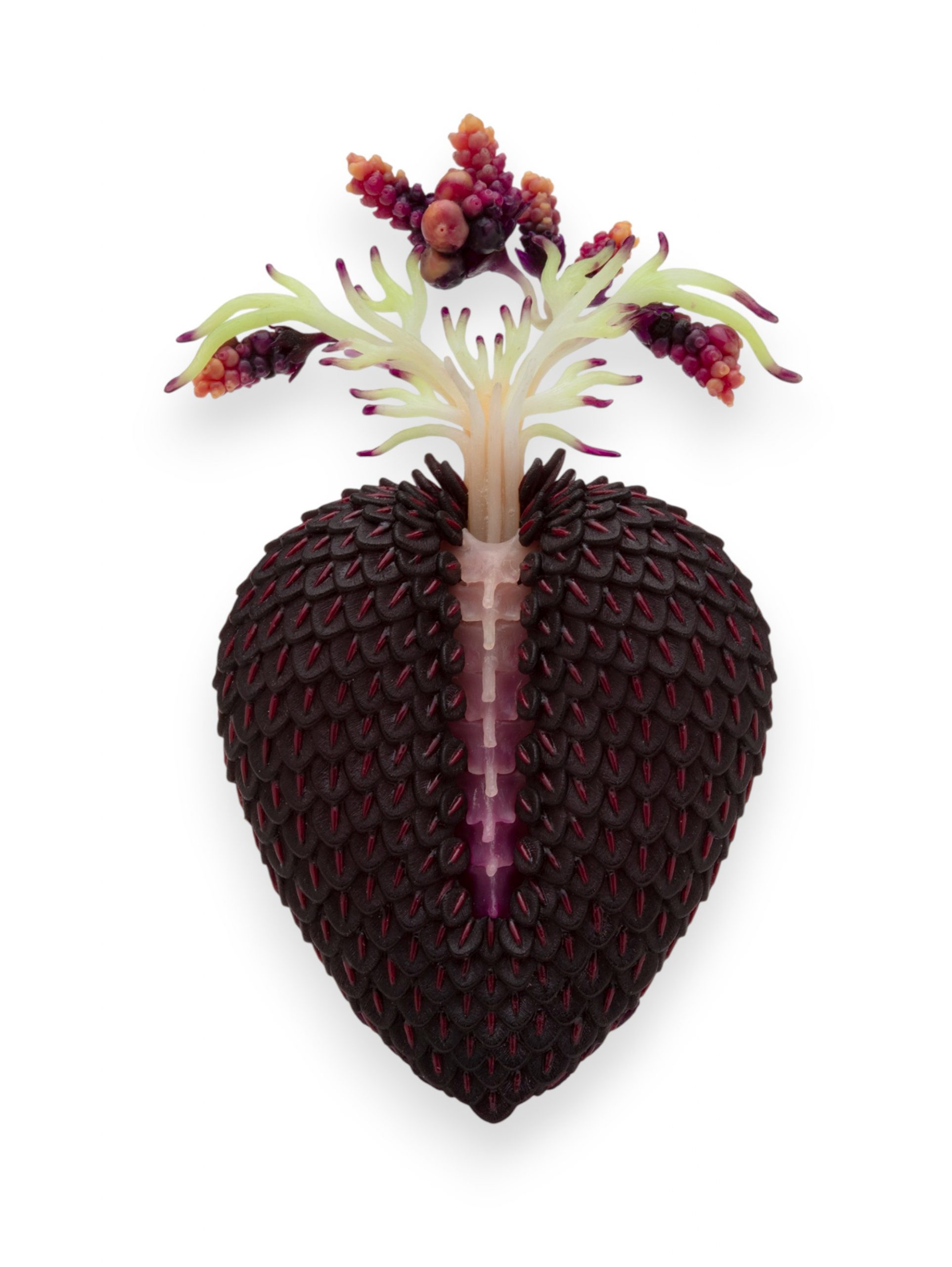 Fragility Lin Stanionis