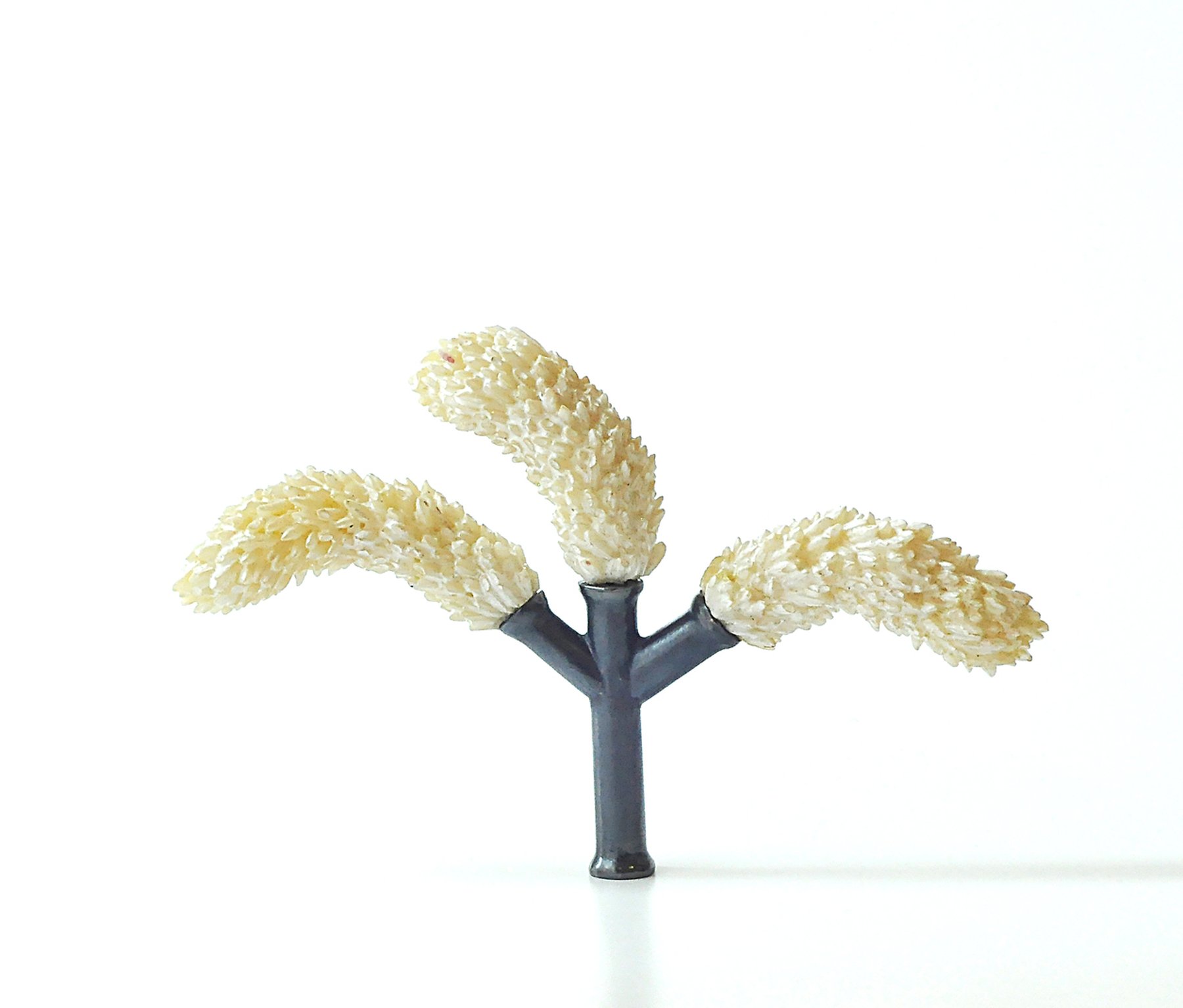 Fragility Saerom Kong