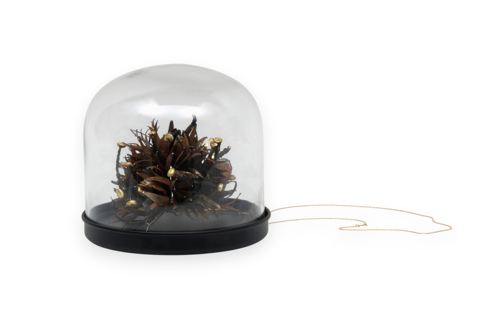 Fragility Sara Shahak