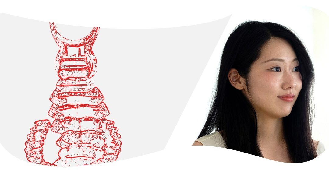 Fragility – Daye Kim / UK