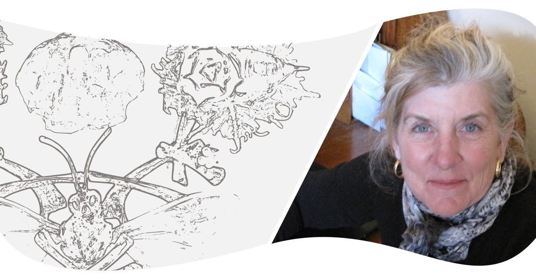 Fragility – Lin Stanionis / USA