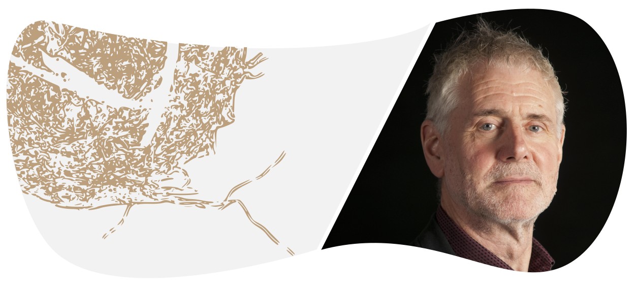 Fragility Norman Cherry