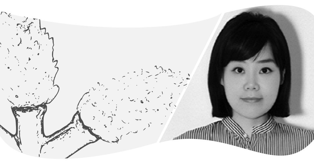 Fragility – Saerom Kong / South Korea