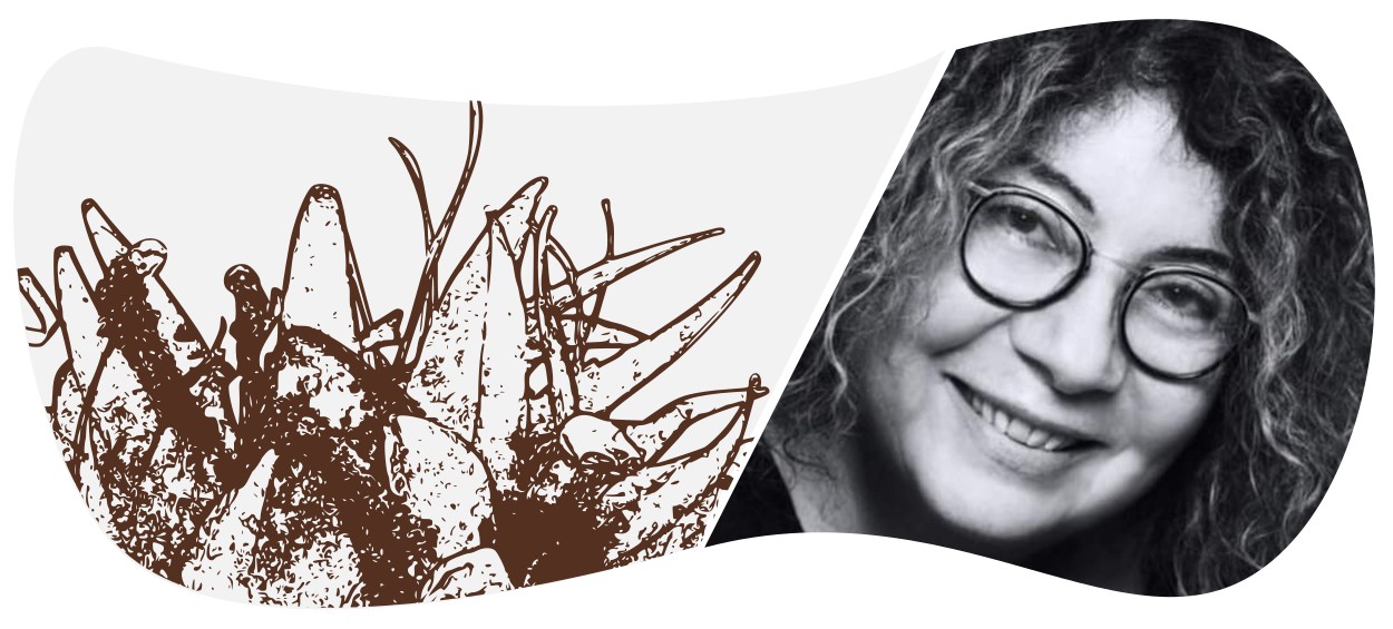 Fragility Sara Shahak