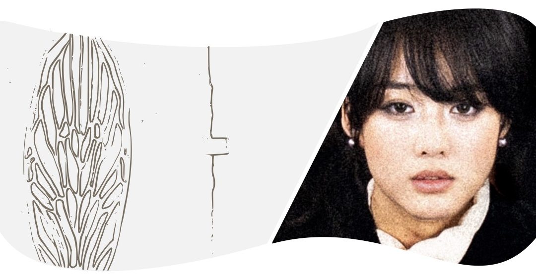 Fragility – Yifan Peng / Belgium