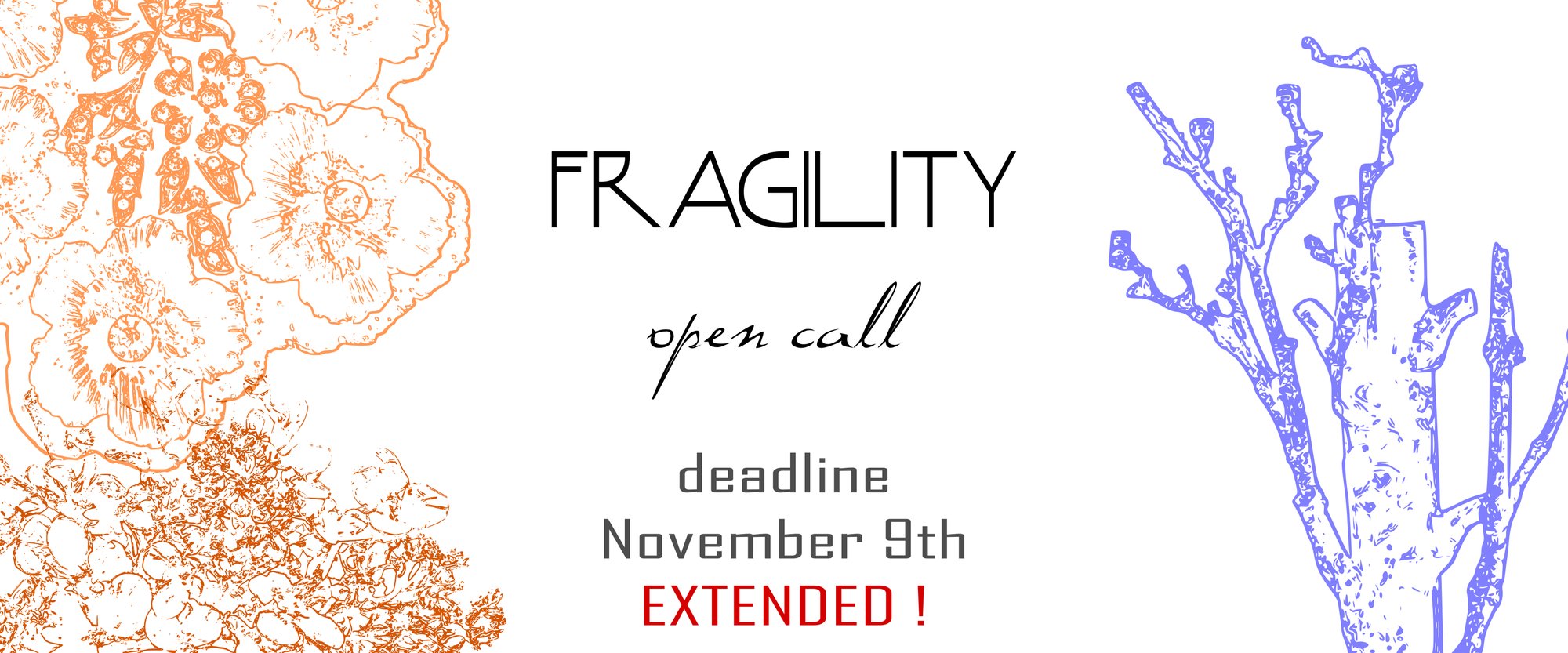 Fragility Open call banner extended